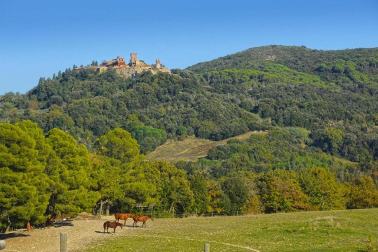 Podere Le Maccagnane 66 Podere Dottrina Exterior foto